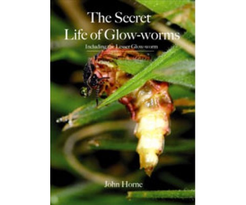 THE SECRET LIFE OF GLOW-WORMS. INCLUDING THE LESSER GLOW-WORM