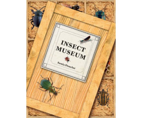 INSECT MUSEUM