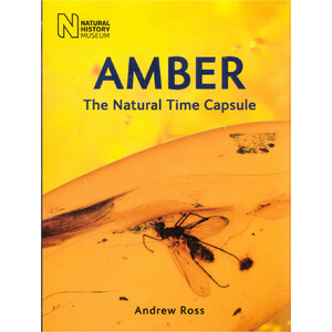AMBER: THE NATURAL TIME CAPSULE