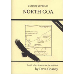 FINDING BIRDS IN NORTH GOA