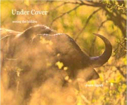 UNDER COVER SEEING THE HIDDEN