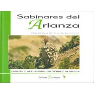 SABINARES DEL ARLANZA. POR TIERRAS DE FERNÁN GONZÁLEZ