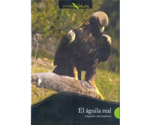 DVD EL ÁGUILA REAL (AQUILA CHRYSAETOS)