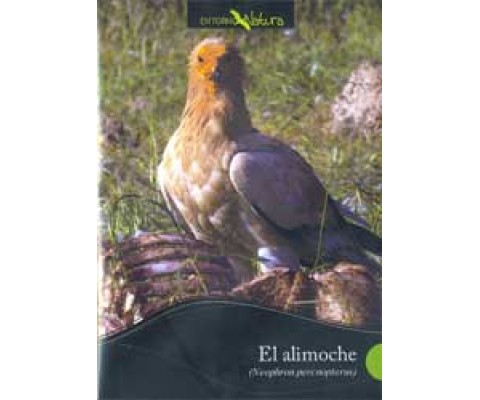 DVD EL ALIMOCHE (NEOPHRON PERCNOPTERUS)
