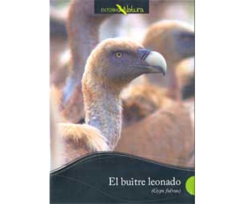 DVD EL BUITRE LEONADO (GYPS FULVUS)