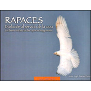 RAPACES. EVOLUCIÓN AL SERVICIO DE LA CAZA. UN BREVE RETRATO DE LAS RAPACES ARAGONESAS