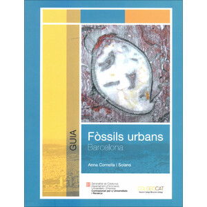 FÒSSILS URBANS DE BARCELONA