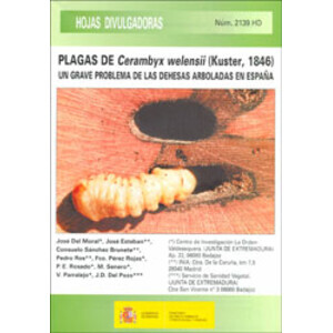 PLAGAS DE CERAMBYX WELENSII (KUSTER, 1846). UN GRAVE PROBLEMA DE LAS DEHESAS ARBOLADAS EN ESPAÑA