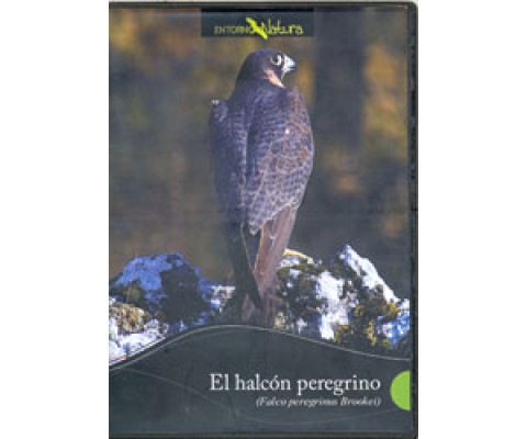 DVD EL HALCÓN PEREGRINO (FALCO PEREGRINUS BROOKEI)