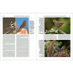 HANDBOOK OF THE BIRDS OF THE WORLD, VOL. 16. TANAGERS TO NEW WORLD BLACKBIRDS 2