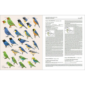HANDBOOK OF THE BIRDS OF THE WORLD, VOL. 16. TANAGERS TO NEW WORLD BLACKBIRDS 4