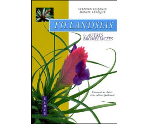 TILLANDSIAS &AMP; AUTRES BROMÉLIACÉES