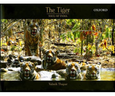 THE TIGER: SOUL OF INDIA