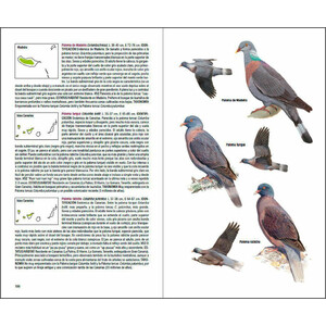 AVES DE MACARONESIA. AZORES, MADEIRA, ISLAS CANARIAS, CABO VERDE 3