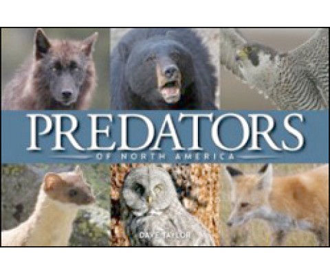 PREDATORS OF NORTH AMERICA