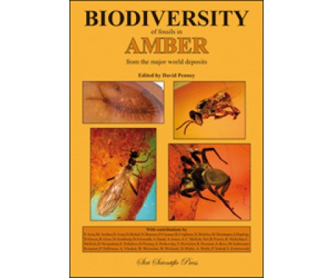BIODIVERSITY OF FOSSILS IN AMBER FROM THE MAJOR WORLD DEPOSITS