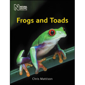 FROGS AND TOADS
