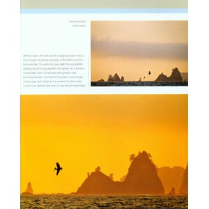 CREATIVE NATURE PHOTOGRAPHY 2