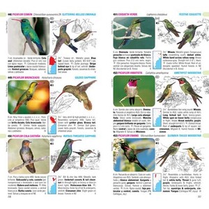 AVES DE ARGENTINA Y URUGUAY. SET GUÍA DE IDENTIFICACIÓN + DVD + CHECKLIST 4
