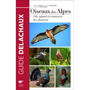 OISEAUX DES ALPES. OÚ, QUAND ET COMMENT LES OBSERVER