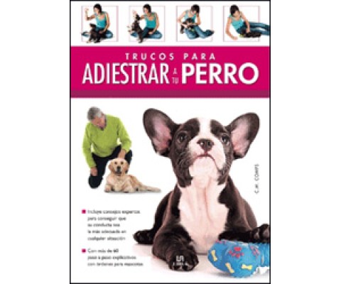 TRUCOS PARA ADIESTRAR A TU PERRO