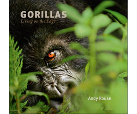 GORILLAS. LIVING ON THE EDGE