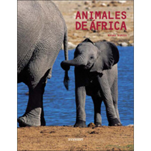 ANIMALES DE ÁFRICA