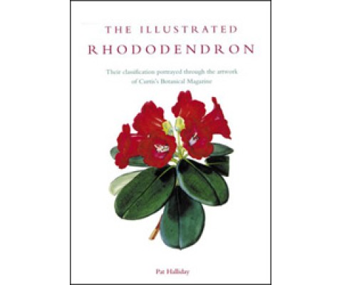 THE ILLUSTRATED RHODODENDRON. THEIR CLASSIFICATION PORTRAYED THROUGH THE ARTWORK OF CURTIS'S BOTANICAL MAGAZINE