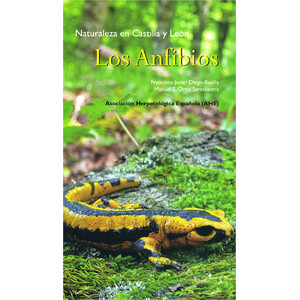 NATURALEZA EN CASTILLA Y LEÓN. LOS ANFIBIOS