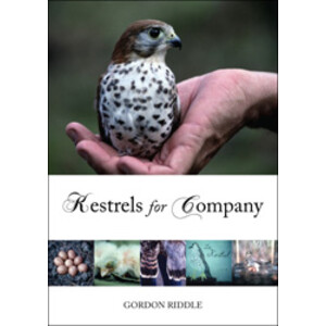 KESTRELS FOR COMPANY