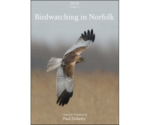 DVD BIRDWATCHING IN NORFOLK