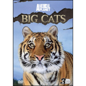 DVD ANIMAL PLANET. BIG CATS