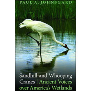 SANDHILL AND WHOOPING CRANES. ANCIENT VOICES OVER AMERICA'S WETLANDS