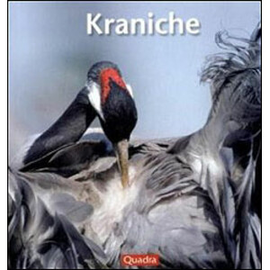 KRANICHE. UNTERWEGS IM LAND DER