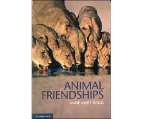 ANIMAL FRIENDSHIPS