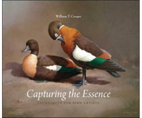 CAPTURING THE ESSENCE. TECHNIQUES FOR BIRD ARTISTS