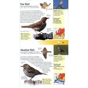 BIRDS OF BRITAIN AND EUROPE 2