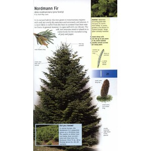 TREES OF BRITAIN AND EUROPE 3