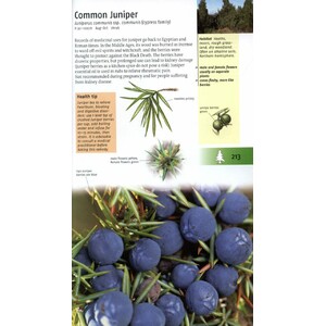 MEDICINAL PLANTS OF BRITAIN AND EUROPE 3