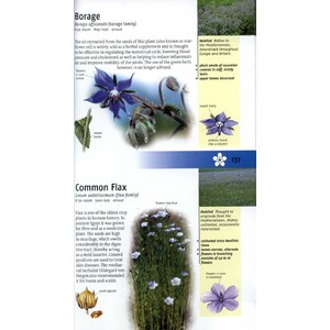 MEDICINAL PLANTS OF BRITAIN AND EUROPE 6