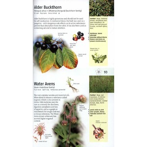 MEDICINAL PLANTS OF BRITAIN AND EUROPE 7