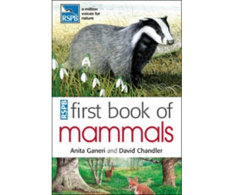 RSPB FIRST BOOK OF MAMMALS