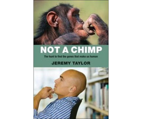 NOT A CHIMP. THE HUNT TO FIND THE GENES THAT MAKE US HUMAN