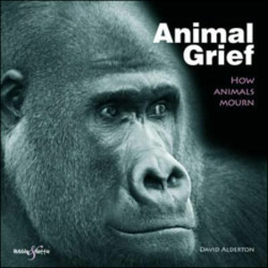 ANIMAL GRIEF. HOW ANIMALS MOURN