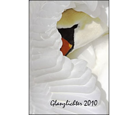 GLANZLICHTER 2010