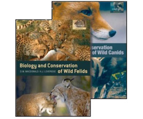 BIOLOGY AND CONSERVATION OF WILD CANIDS/BIOLOGY AND CONSERVATION OF WILD FELIDS