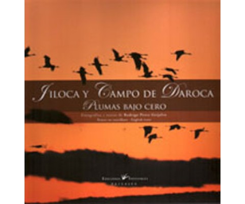 JILOCA Y CAMPO DE DAROCA. PLUMAS BAJO CERO