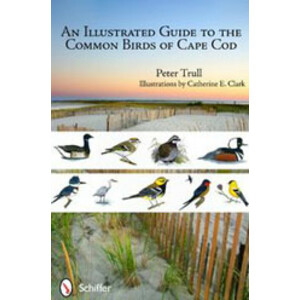 AN ILLUSTRATED GUIDE TO THE COMMON BIRDS OF CAPE COD