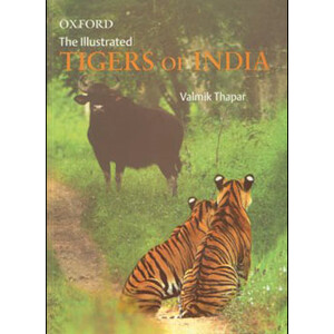 THE ILLUSTRATED TIGERS OF INDIA
