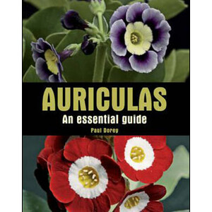 AURICULAS. AN ESSENTIAL GUIDE